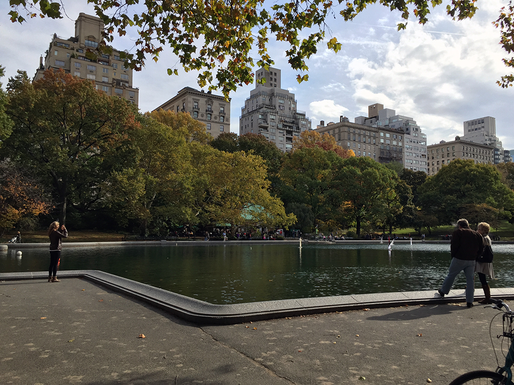 new york
