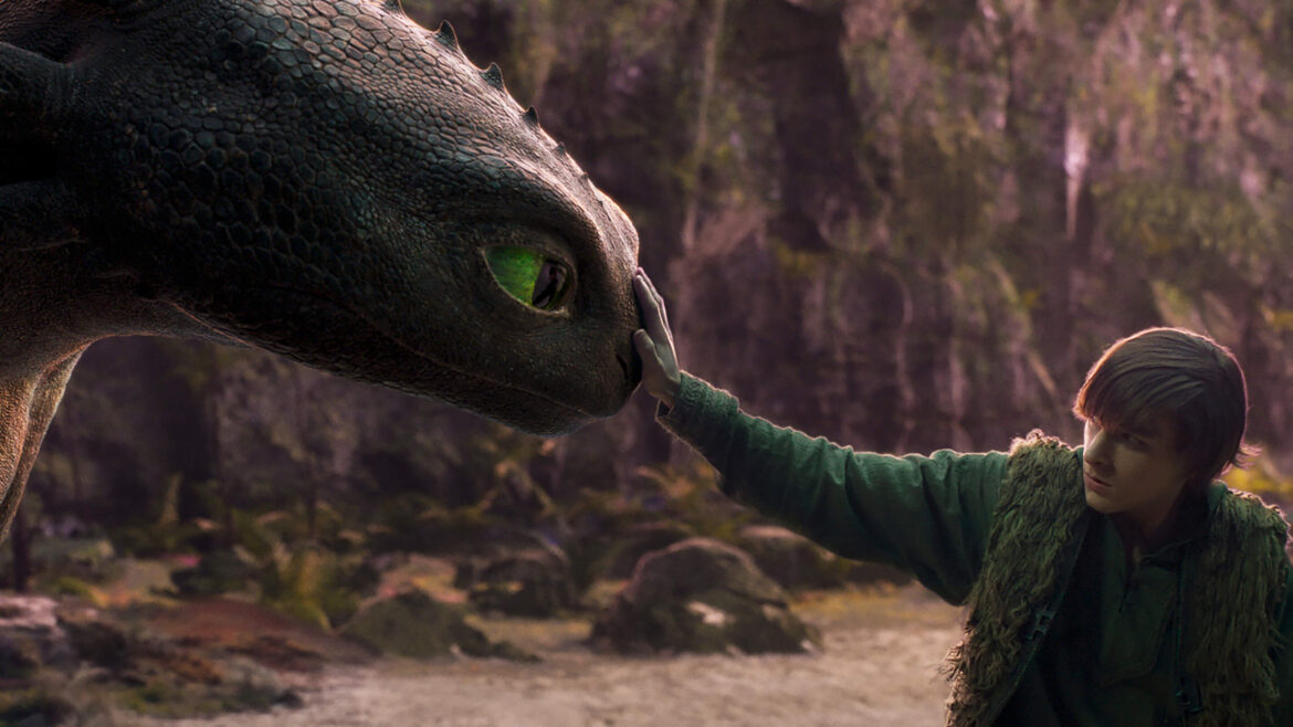 dragons
